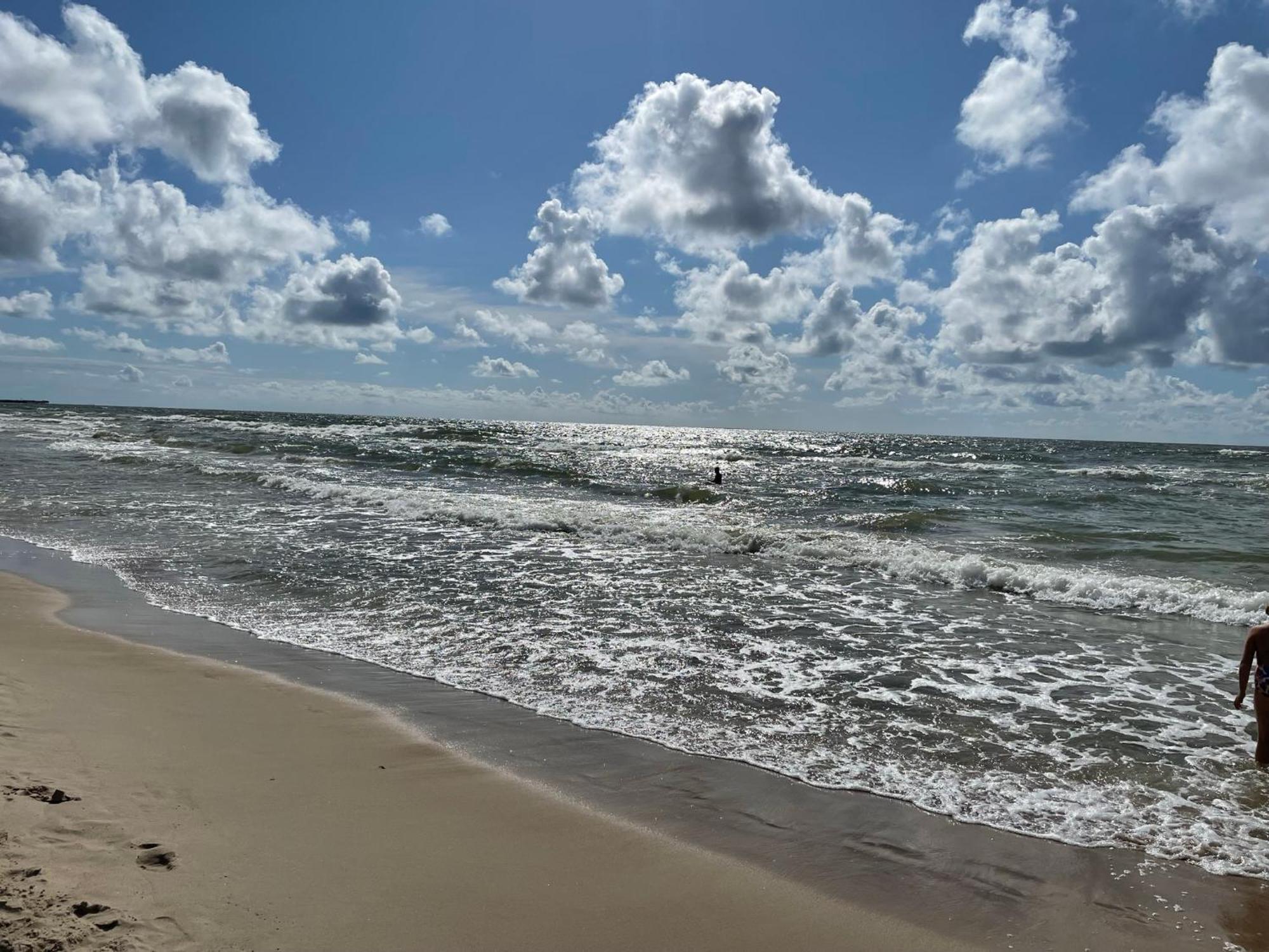 206, Palanga